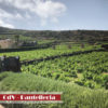 Pantelleria15