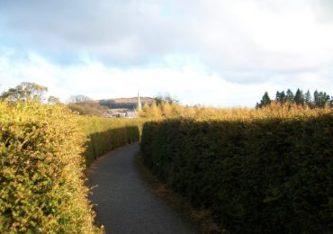 Castlewellan peace maze Irlanda